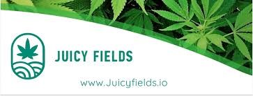 juicy fields io
